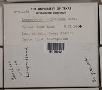 Image Associated With the Occurence